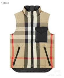 Picture of Burberry Down Jackets _SKUBurberryS-2XL26yr12337987